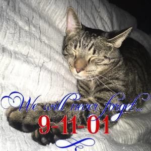 Meet your Posher, Mandy